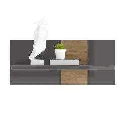 Wohnen Hängeregal in Dunkelgrau Hochglanz & Eiche - Eracosta