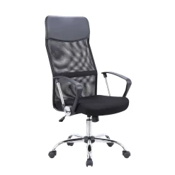 Wohnen Hochlehner Büro Drehstuhl in Schwarz - Ridonna