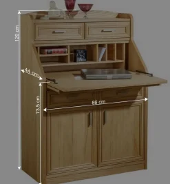 Wohnen Esszimmerschränke*Hochwertiger Schreibschrank in geölter Eiche - Gatania