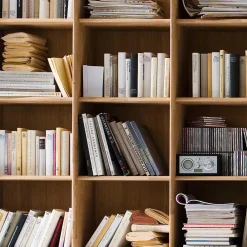 Wohnen Holzregal Croconia aus Wildeiche Massivholz