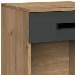 Wohnen Jugendzimmer Möbel im Industry Style - Nilrem (fünfteilig)