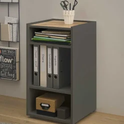 Wohnen Büroregale|Esszimmerregale*Kleines Ordnerregal in Anthrazit & Wildeiche Dekor - Ahilav