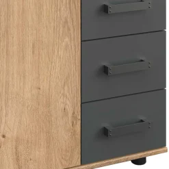 Wohnen Flurkommoden*Kombi-Kommode in Plankeneiche Dekor - Enegal