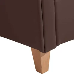 Wohnen Kunstleder Ohrensessel in Braun - Ziller