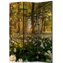 Wohnen Wohnzimmer-Regale|Paravents*Naturmotiv Paravent Wald Bäume & Bärlauch - Sybila III