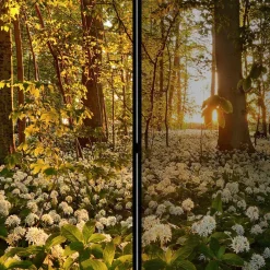 Wohnen Wohnzimmer-Regale|Paravents*Naturmotiv Paravent Wald Bäume & Bärlauch - Sybila III