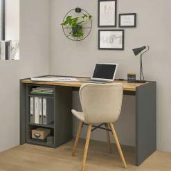 Wohnen Office Schreibtisch & Regal - Ahilav (zweiteilig)