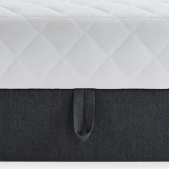 Wohnen Jugendbetten*Polsterbett mit Matratze H2 und Bettkasten - Marianne