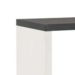 Wohnen Wohnzimmer-Regale|Esszimmerregale*Regal Baptus in Weiß Grau