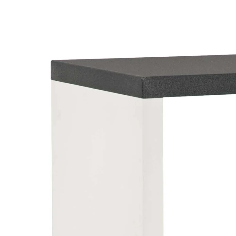 Wohnen Wohnzimmer-Regale|Esszimmerregale*Regal Baptus in Weiß Grau