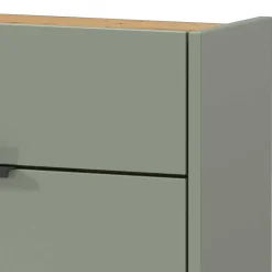 Wohnen Schlanker Schuhschrank in Graugrün - Point