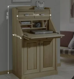 Wohnen Schrank mit Schreibklappe in Eichefarben - Matss