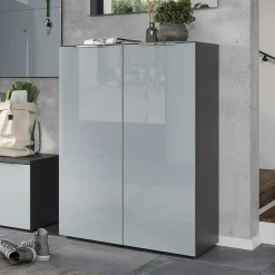 Wohnen Schuhschrank in Grau glasbeschichtet - Ilfred