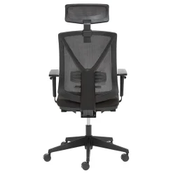 Wohnen Schwarzer Schreibtischsessel mit Lordosenstütze - Drike