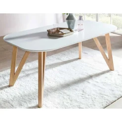 Wohnen Skandinavische Möbel*Skandi Esstisch & Tischsessel - Movay (fünfteilig)