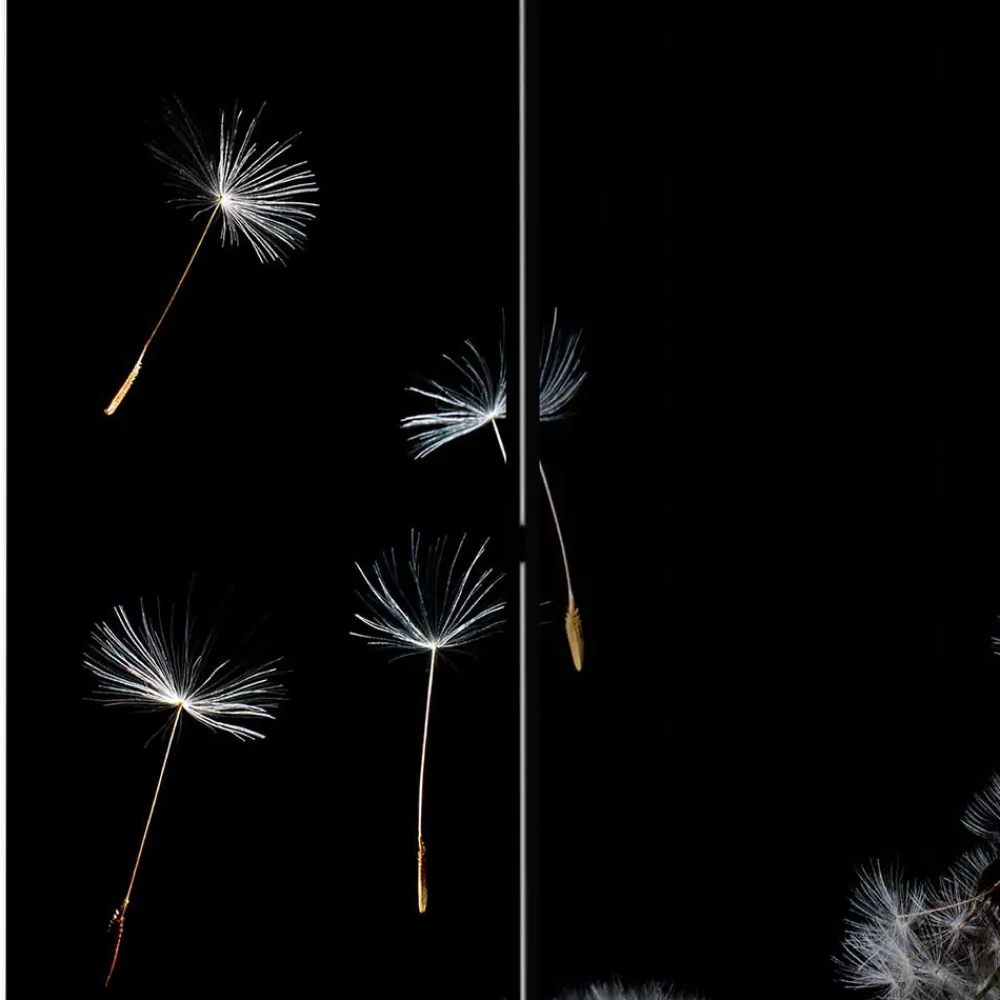 Wohnen Spanischer Raumteiler mit Pusteblumen Foto - Hocumola