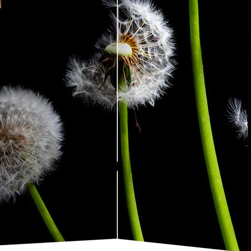 Wohnen Spanischer Raumteiler mit Pusteblumen Foto - Hocumola
