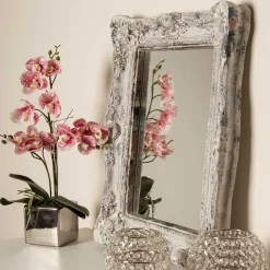 Wohnen Spiegel|Flurspiegel*Spiegel aus Grey Wash Tannenholz - Zyamonicus