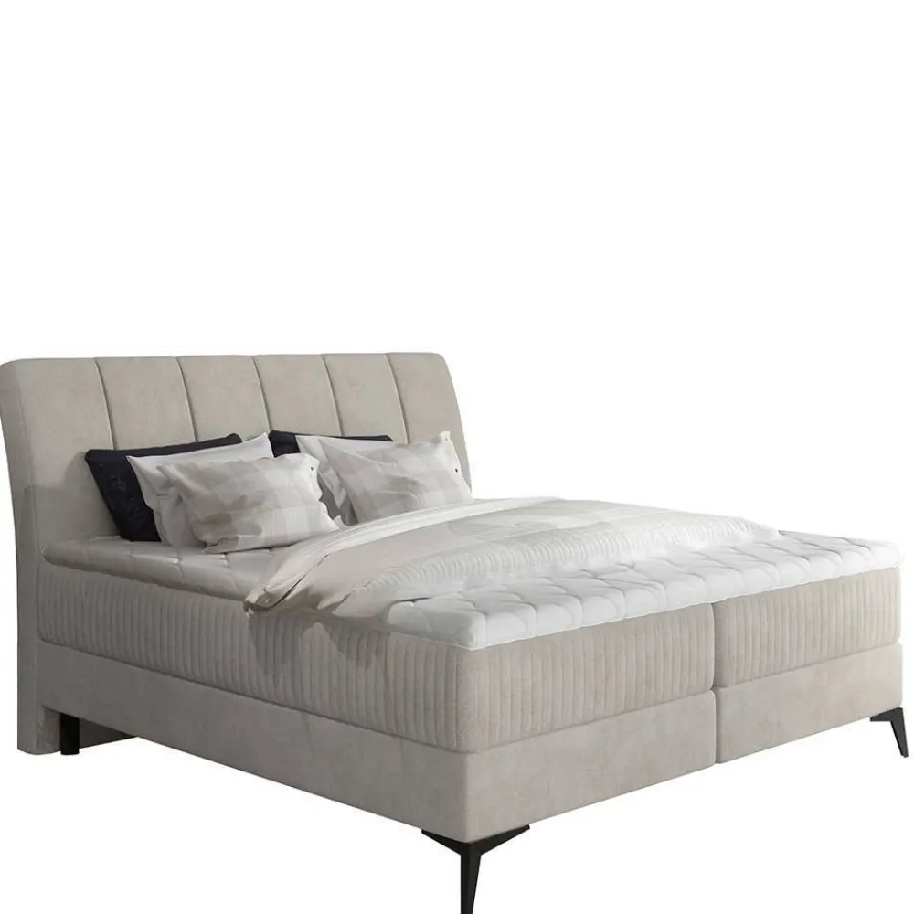 Wohnen Stauraumbett mit Samtbezug in Hellgrau - Barstro