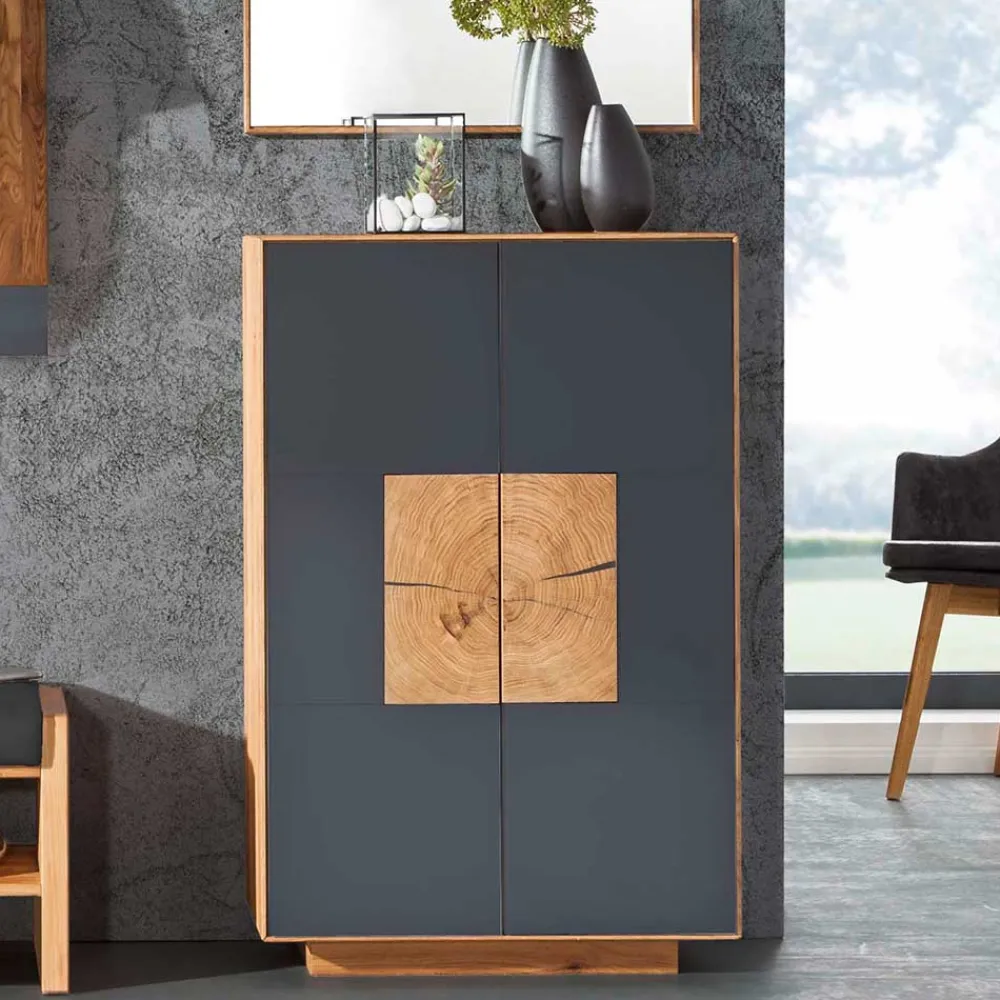 Wohnen Schuhschränke*2-türige Schuhkommode in Anthrazit Glas - Mandrey