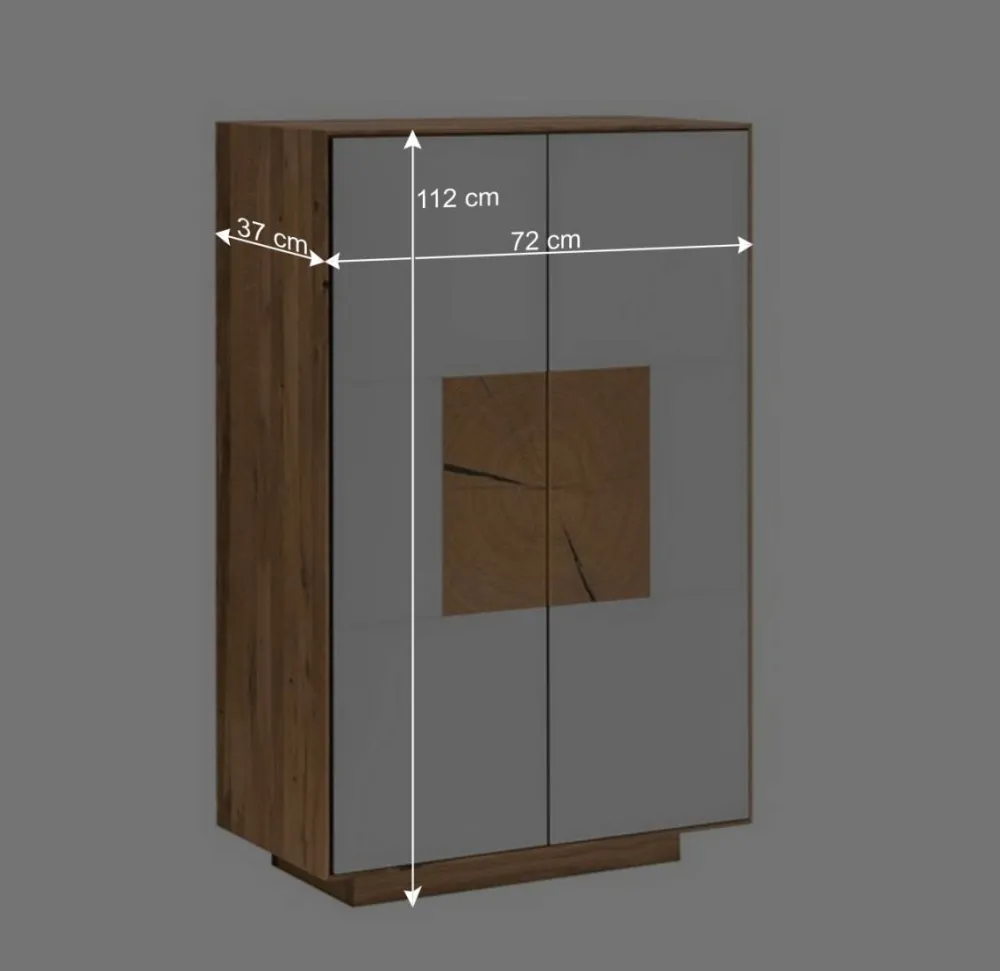 Wohnen Schuhschränke*2-türige Schuhkommode in Anthrazit Glas - Mandrey