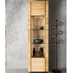 Wohnen Vitrinen|Wohnzimmer-Vitrinen*1-türige Standvitrine mit LED Beleuchtung - Annipurk