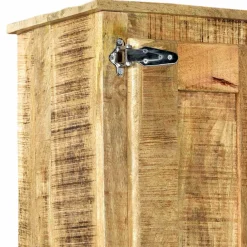 Wohnen 2-türiger Design Dielenschrank aus Mangobaum - Suennas