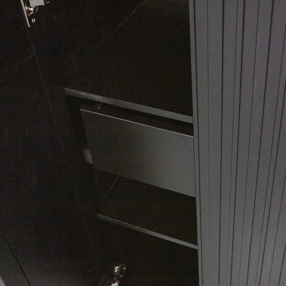 Wohnen 2-türiger Schrank in Schwarz - Gelvins