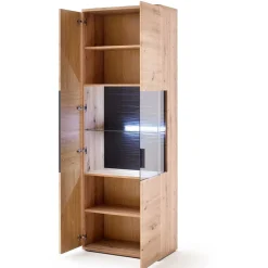 Wohnen Glasmöbel|Wohnzimmerschränke*2-türiger Vitrinenschrank modern - Vecenda