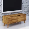 Wohnen 2-türiges TV Lowboard aus Holz Wildeiche - Eavy I