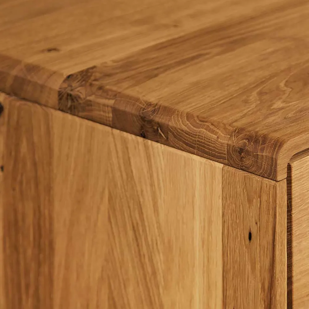 Wohnen 2-türiges TV Lowboard aus Holz Wildeiche - Eavy I