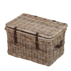 Wohnen Truhe Chris aus Rattan