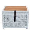 Wohnen Rattanmöbel|Holztruhen*Truhe Wohnzimmertisch aus Rattan Weiß - Jacopo