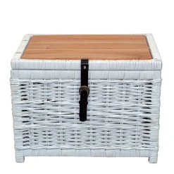 Wohnen Rattanmöbel|Holztruhen*Truhe Wohnzimmertisch aus Rattan Weiß - Jacopo