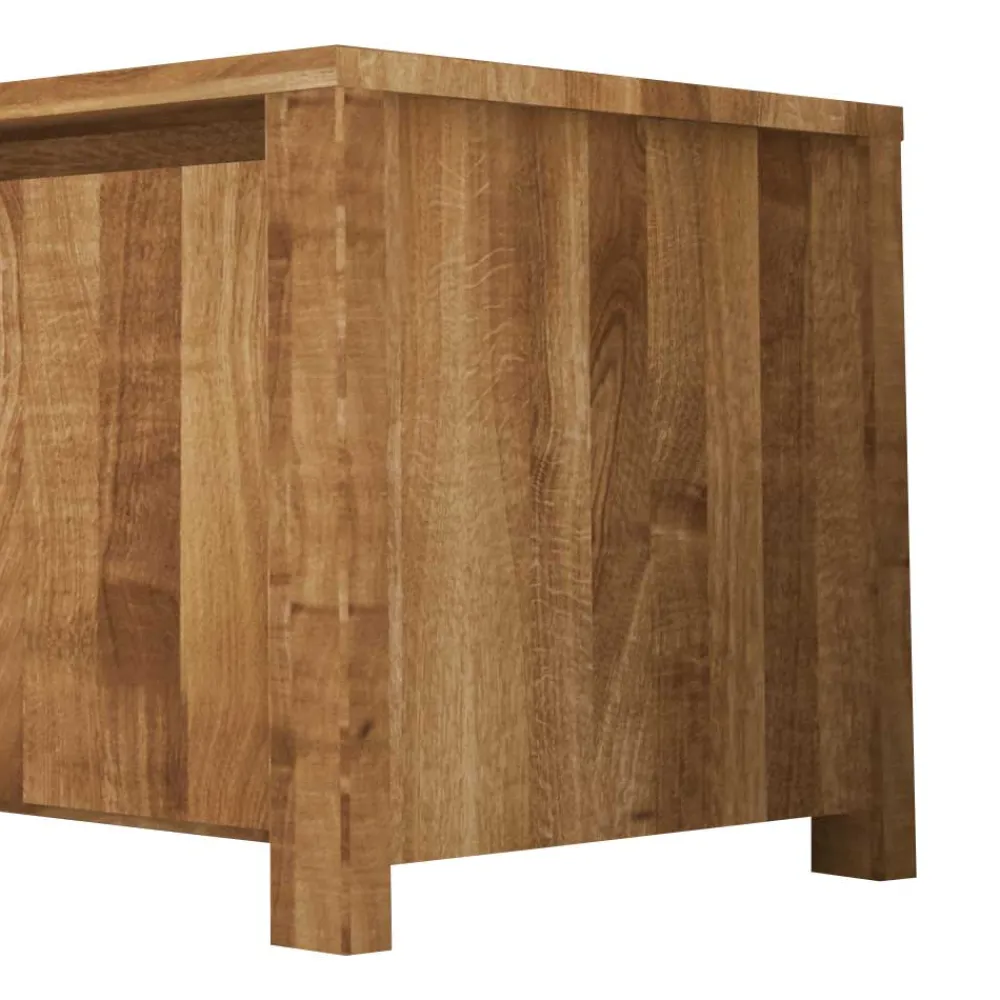 Wohnen Tv & Hifi-Möbel|Tv & Hifi-Möbel*TV Lowboard Nadalia aus Wildeiche Massivholz