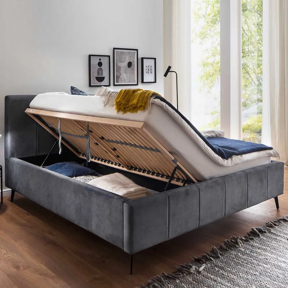 Wohnen Velours Polsterbett in Anthrazit - Laterna