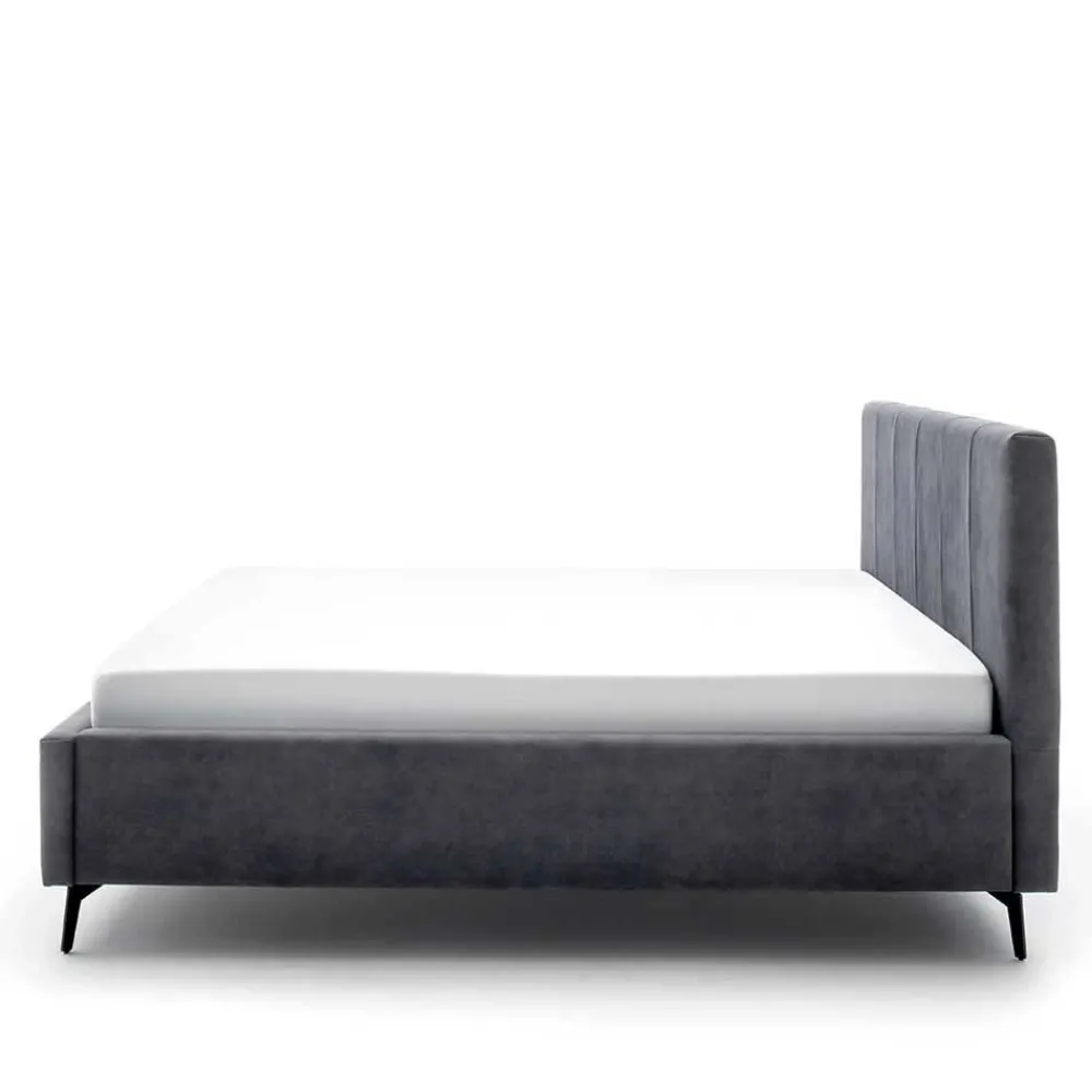 Wohnen Velours Polsterbett in Anthrazit - Laterna