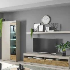 Wohnen Vitrinen|Wohnzimmer-Vitrinen*Vitrinenschrank in Hellgrau & Zinneiche NB - Lioscas