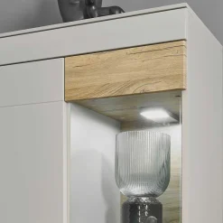 Wohnen Vitrinen|Wohnzimmer-Vitrinen*Vitrinenschrank in Hellgrau & Zinneiche NB - Lioscas