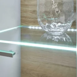 Wohnen Vitrinen|Wohnzimmer-Vitrinen*Vitrinenschrank in Hellgrau & Zinneiche NB - Lioscas