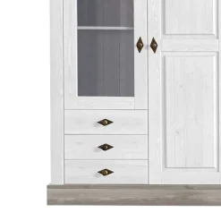 Wohnen Esszimmer-Vitrinen*Vitrinenschrank Mirandesca in Weiß mit Grau