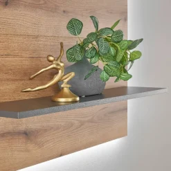 Wohnen Esszimmerregale|Regale*Wandregal-Paneel in Wildeiche Optik und Anthrazit - Colomania