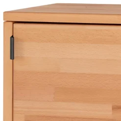 Wohnen Würfel Regal mit Tür aus Kernbuche massiv - Gabela