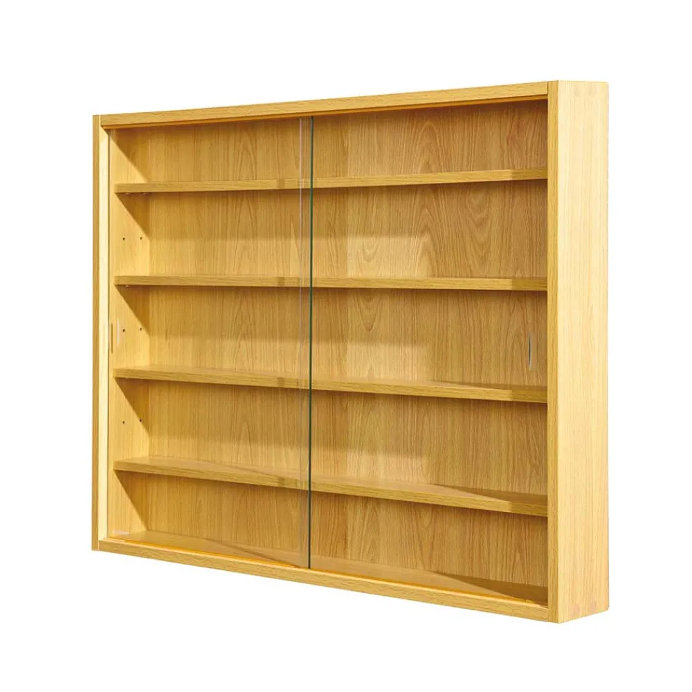 Wohnen 80x60x10 cm Hängevitrine Sammelvitrine 2-türig - Grands