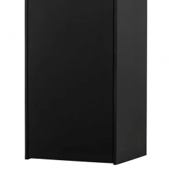 Wohnen Wohnzimmerschränke|Schränke*44x188x35 cm 1-türiger Schrank in Schwarz lackiert - Riley