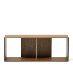 Wohnen 101x38x30 Regel Element in Nussbaum Furnier - Lician