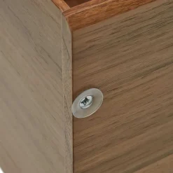 Wohnen 101x38x30 Regel Element in Nussbaum Furnier - Lician