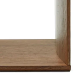 Wohnen 101x38x30 Regel Element in Nussbaum Furnier - Lician